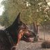 Samuel Dickey - Facebook
