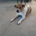 Samuel Dodge - Facebook