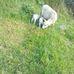 Samuel Donato - Facebook