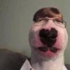 Schmuel - @samdoolittle - TikTok