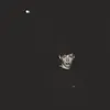 Samuel Dowling - @samjdowling - TikTok