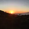 Samuel Dowling - @samuelthetrueone - TikTok