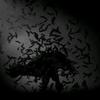 darkrabbit555 - @samueldowney - TikTok