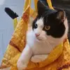 samueldowning - @samueldowning - TikTok