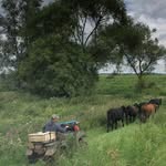 Sam Drs - @samuel_driessen - Instagram
