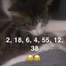 Samuel Driggers - Facebook