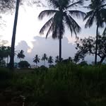 Samuel Driver - @samuel.driver.56679 - Instagram