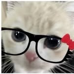 samuel drye - @nzerk08 - Instagram