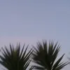 Samuel Duah - @samuel_duah2 - TikTok