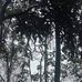 Samuel Dakhi - Facebook