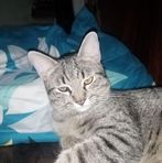 Samuel Dulay - Facebook