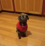 Samuel Dussault - Facebook