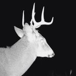 Sam - @samuel_ebert_ - Instagram