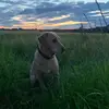 sam eccles - @sam.eccles3 - TikTok