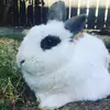Samuel Eccles - @sameccles11 - TikTok