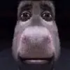 Samuel Edel - @greatgrape.lys - TikTok