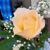 Samuel eden - @samuelito.www.com - TikTok