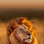Samuel Nsafoah Eduful - Facebook