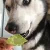 SamuelEli - @31022743935 - TikTok