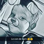 Samuelchevaleyre - @samuelchevaleyre - Instagram