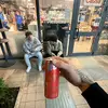 samue - @samuelferrante - TikTok