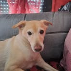 Samuel Formica - Facebook