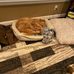 Samuel Fullerton - Facebook