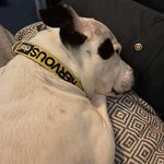 Samuel Gallagher - @samuelgallagher53 - Instagram