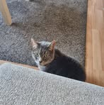 Sam Gallimore - Facebook