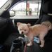 Samuel Gallion - Facebook