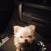 Samuel Gallion - Facebook