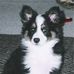 Samuel Garvin - Facebook