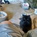Sammy Gilliard - Facebook