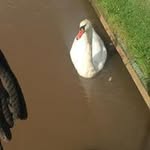 Samuel Goddard - @boatboysam - Instagram