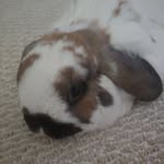 Samuel Goddard - @goddard5437 - Instagram