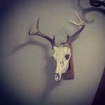 samuel goin - @sammuel_spamm - Instagram