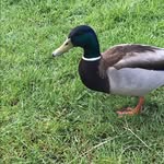 Samuel Goodall - @skg457 - Instagram