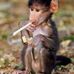 Samuel Goodall - Facebook