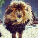 Jonatan Samuel Gordillo Javier - @jonatansamuelgordillojavier - Instagram