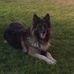Samuel Goss - Facebook