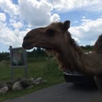 Samuel Grecco - @saams.spams - Instagram