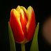 Samuel Gregor - Facebook
