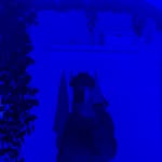 Samuel Grill - @samu.hmb0 - Instagram