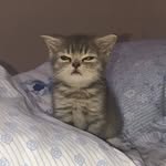 Samuel Grillo - @sa.grillo - Instagram