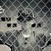 Samuel Halstead - Facebook