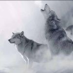 Halverson817 - @samuelhalverson817 - Instagram