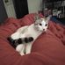 Samuel Hamby - Facebook