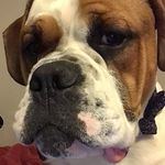 Samuel - @samuel_hamby - Instagram