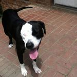 Samuel Haney - @sb_haney - Instagram