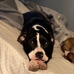 Samuel Hardwick - @samuel.hardwick.50 - Instagram